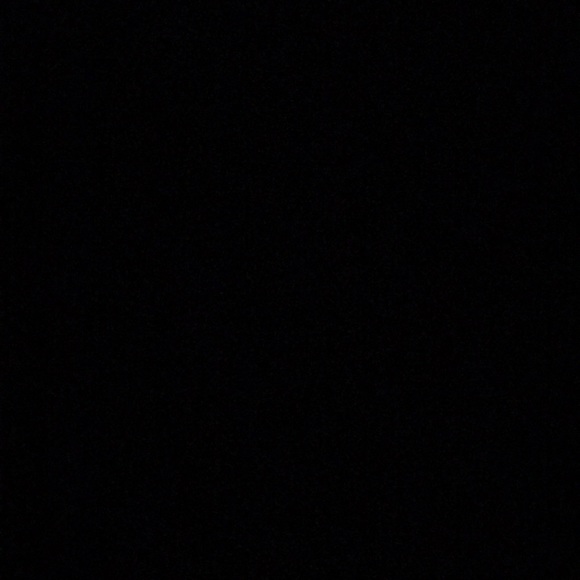 Meet your Posher, Rae - Picture 1 of 1